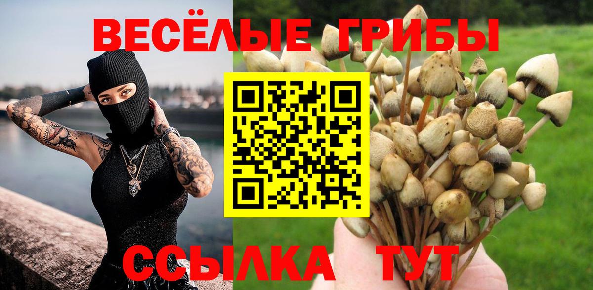 Галлюциногенные грибы ЛСД Малоярославец