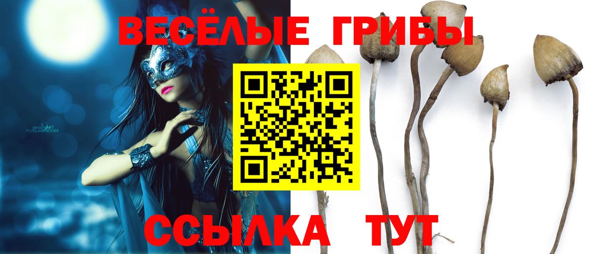 цены наркотик  Вход с VPN  Псилоцибиновые грибы Psilocybine cubensis  Малоярославец  Галлюциногенные грибы прущие грибы 